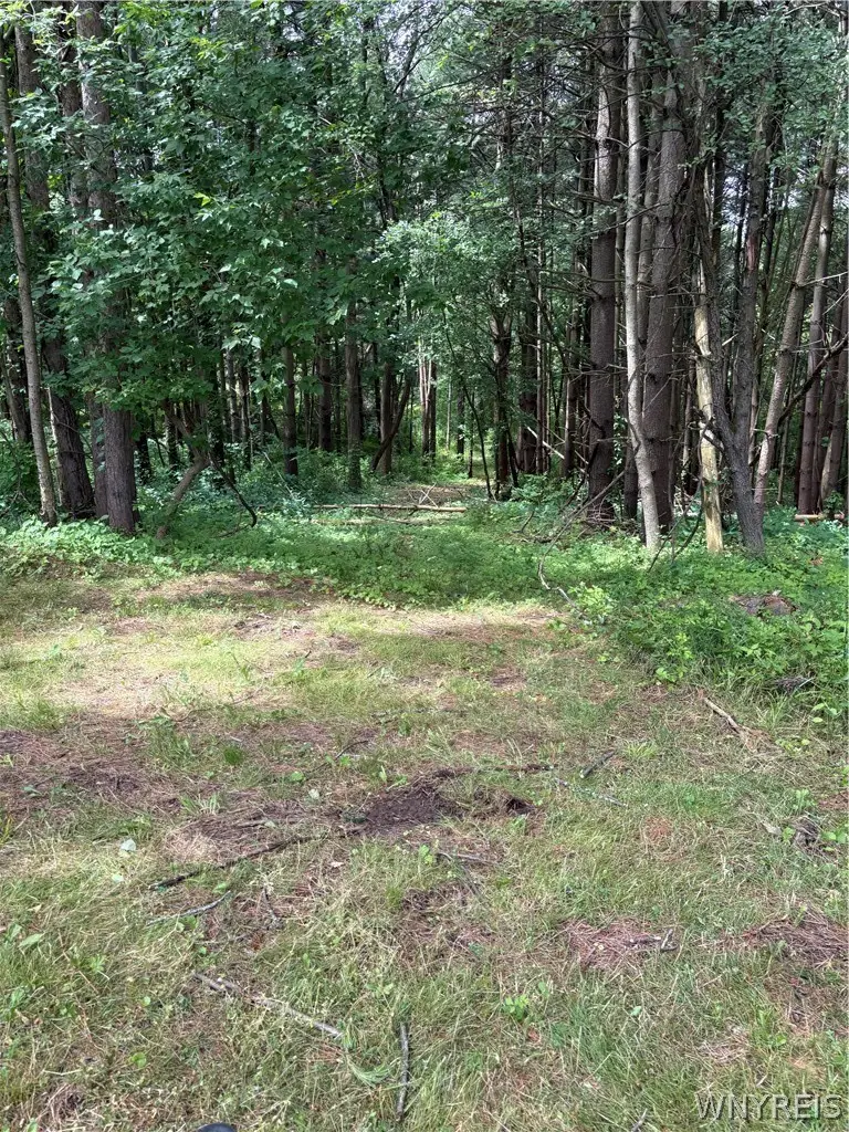 3939 Stalker Road, Macedon, NY 14502 - #3
