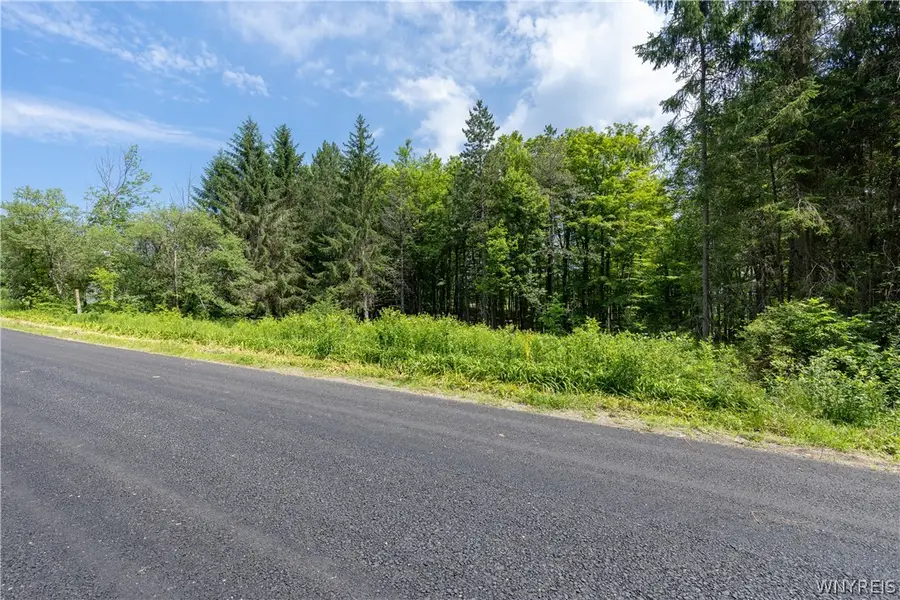 Abbott Hill Road, Concord, NY 14141 - #3