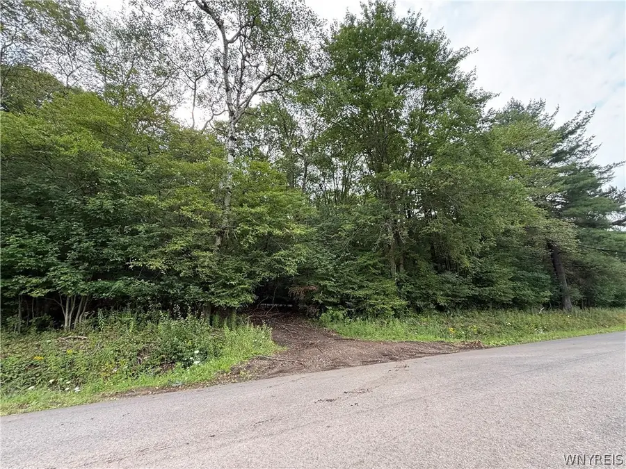 3992 Bear Hollow Road, Great Valley, NY 14741 - #2