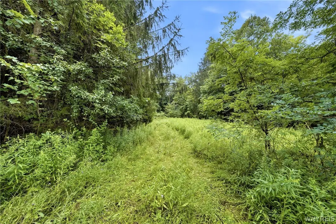 VL Whitney Road, Holland, NY 14080 - #1