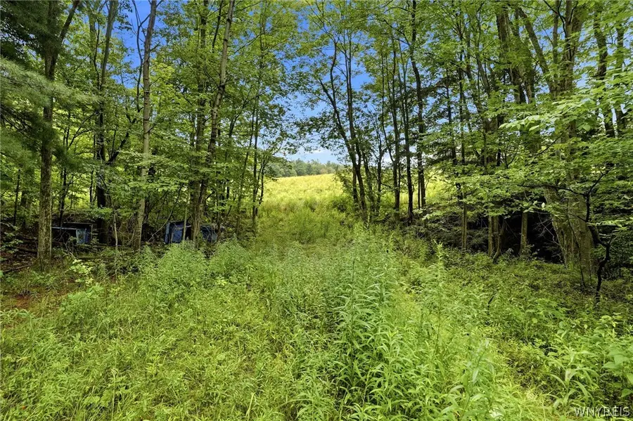 VL Whitney Road, Holland, NY 14080 - #2
