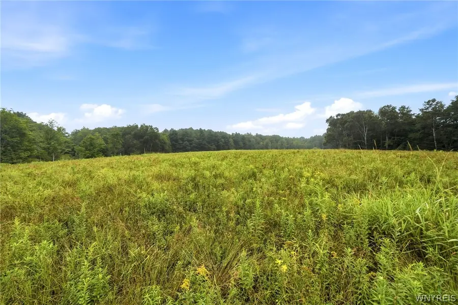 VL Whitney Road, Holland, NY 14080 - #3