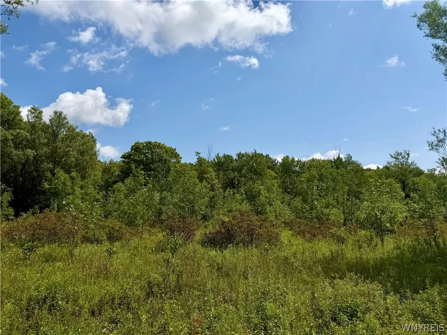 9259 Carpenter Road, Eden, NY 14057 - #3