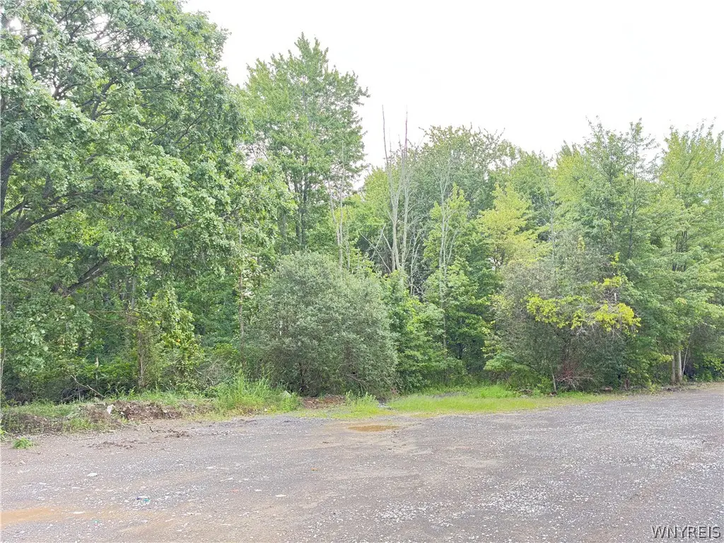 Fisk Road N, Lockport, NY 14094 - #1