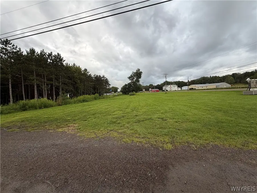Mile Strip Road, North Collins, NY 14111 - #2