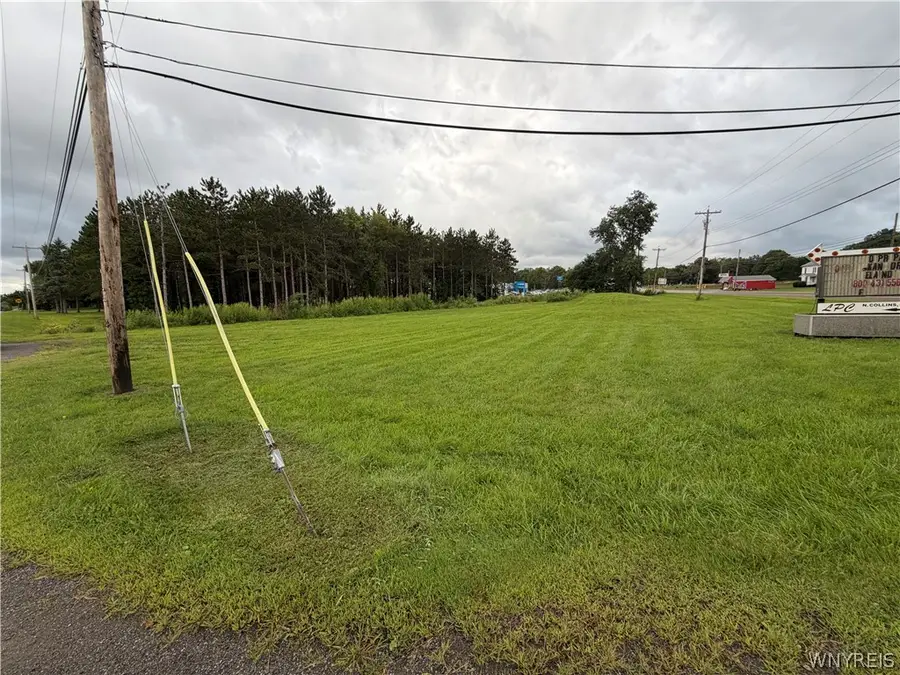 Mile Strip Road, North Collins, NY 14111 - #3