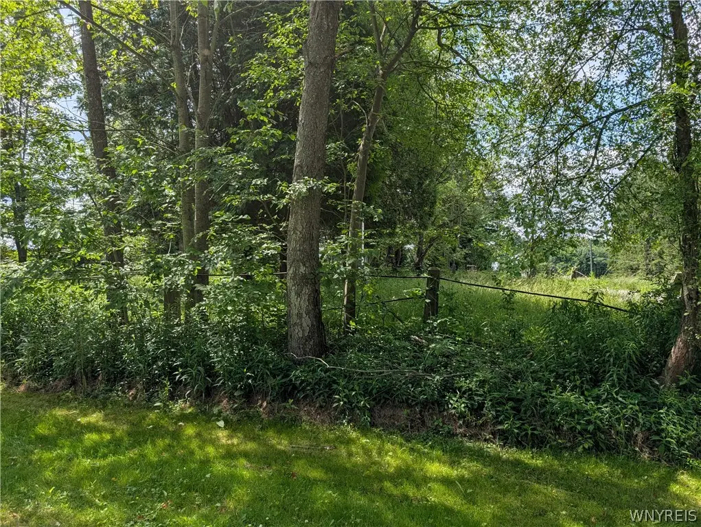 V/L North Hill Road, Sinclairville, NY 14782 - #1