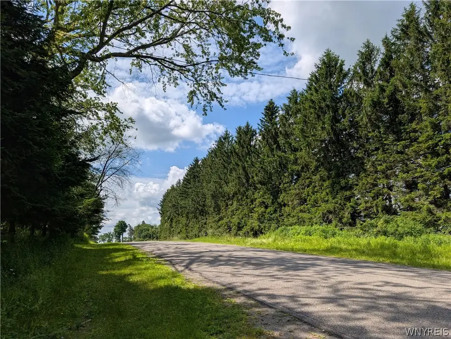 V/L North Hill Road, Sinclairville, NY 14782 - #3