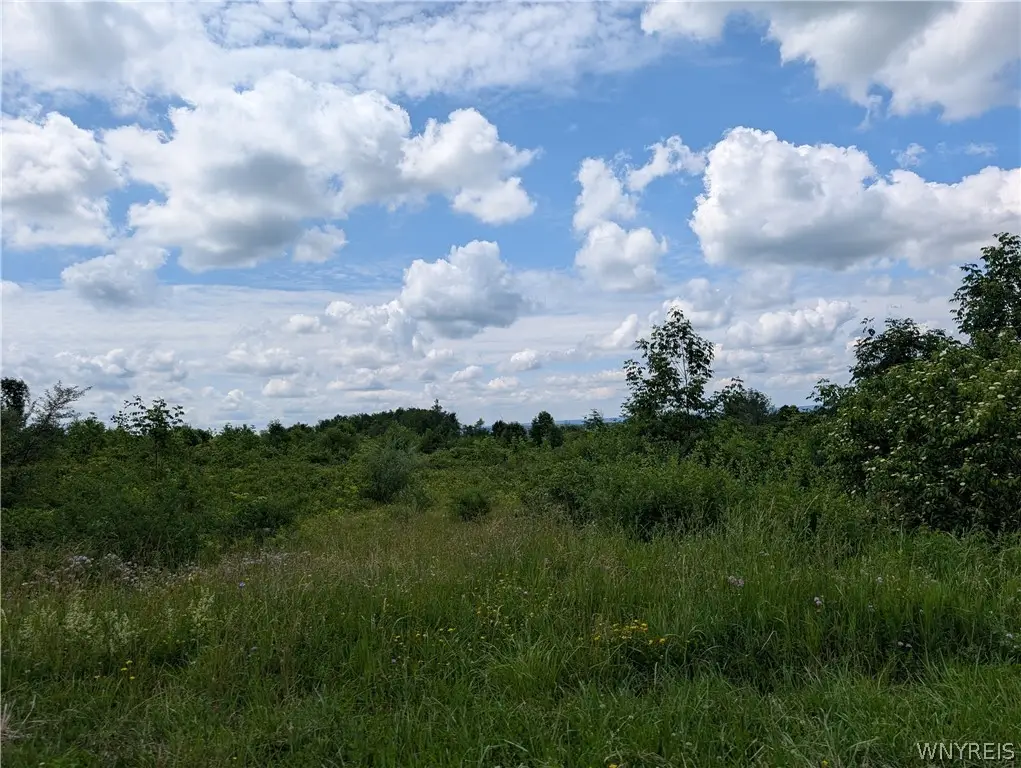 V/L N Hill Road, Sinclairville, NY 14782 - #1