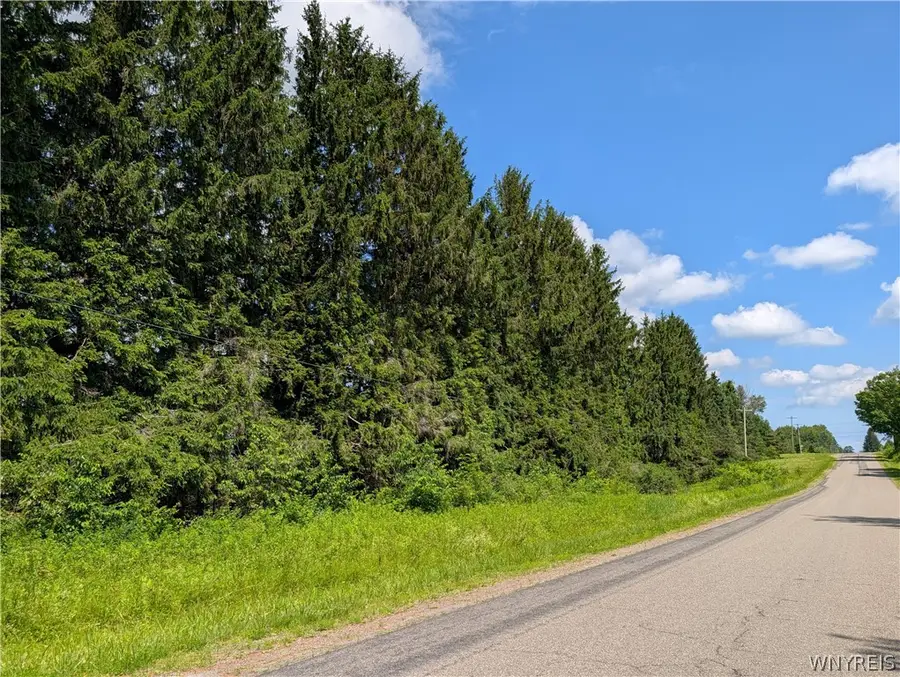 V/L N Hill Road, Sinclairville, NY 14782 - #2