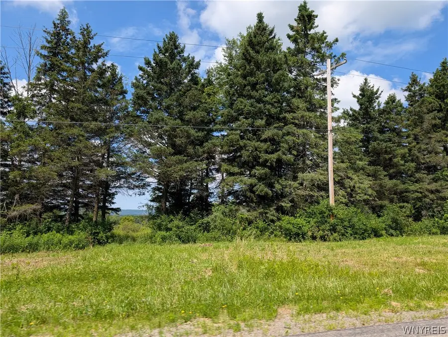 V/L N Hill Road, Sinclairville, NY 14782 - #3