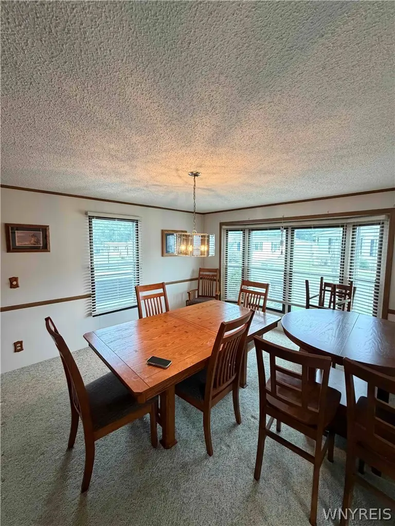 37 Brookridge Drive, Hamburg, NY 14075 - #2
