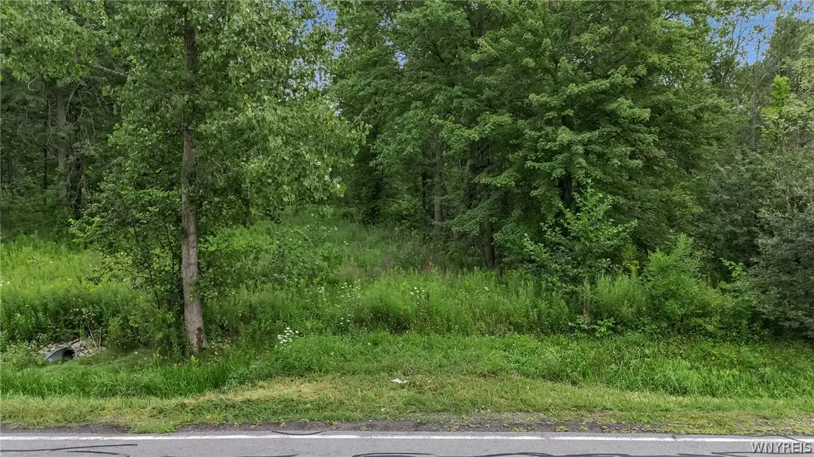 V/L Calkins & Creek Road, Lewiston, NY 14092 - #1