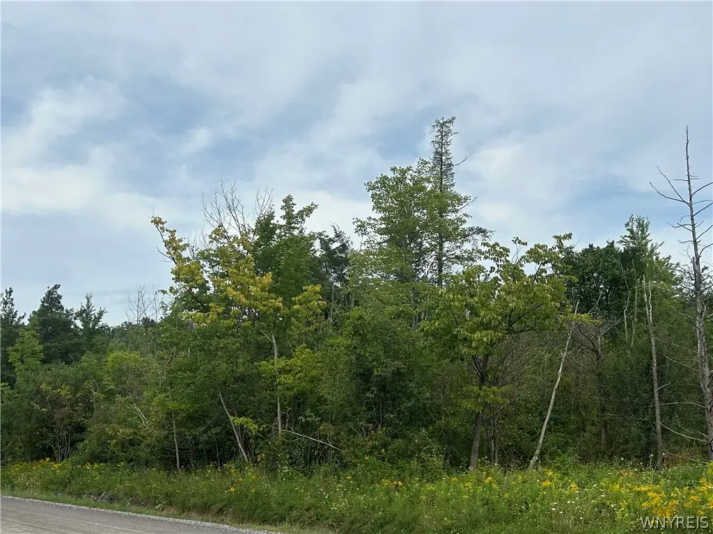 0 Tinkham Road, Attica, NY 14011 - #1