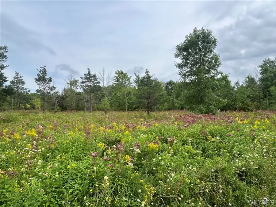0 Tinkham Road, Attica, NY 14011 - #3