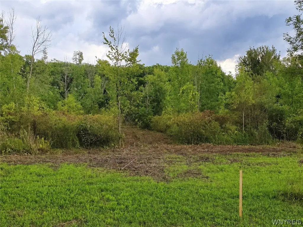 9970 Tonawanda Crk Rd N, Clarence, NY 14031 - #1