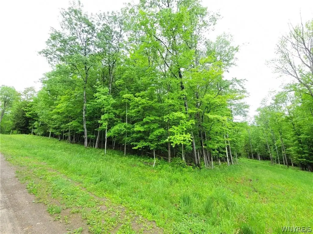 0 Cr-24- Lot 18, Swain, NY 14884 - #1