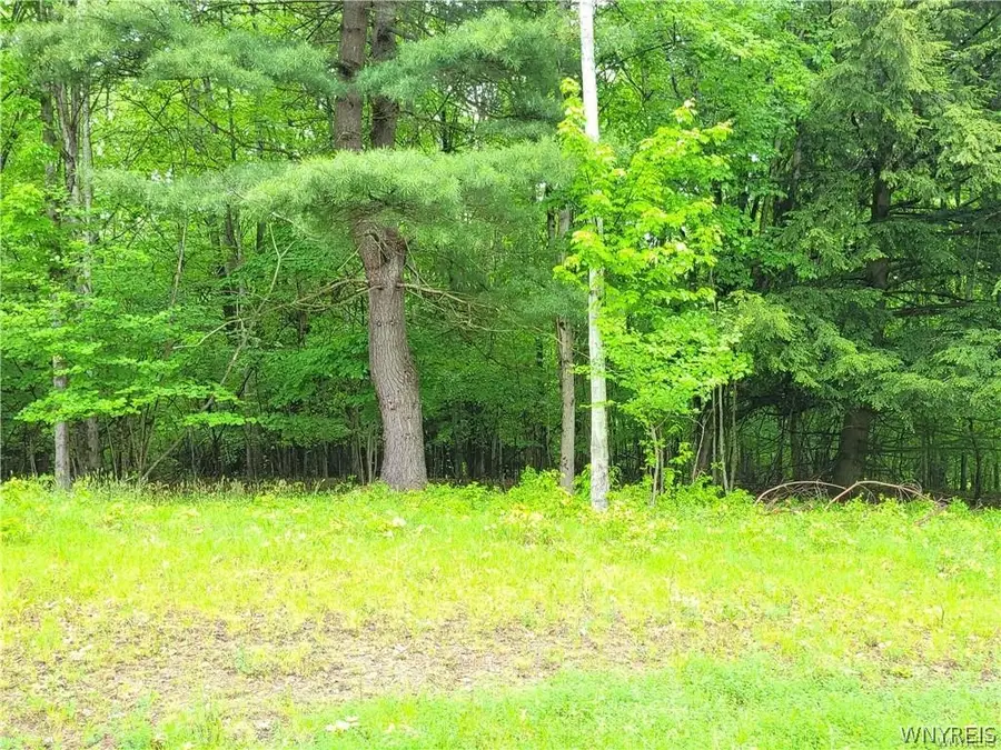 0 Cr-24- Lot 18, Swain, NY 14884 - #2