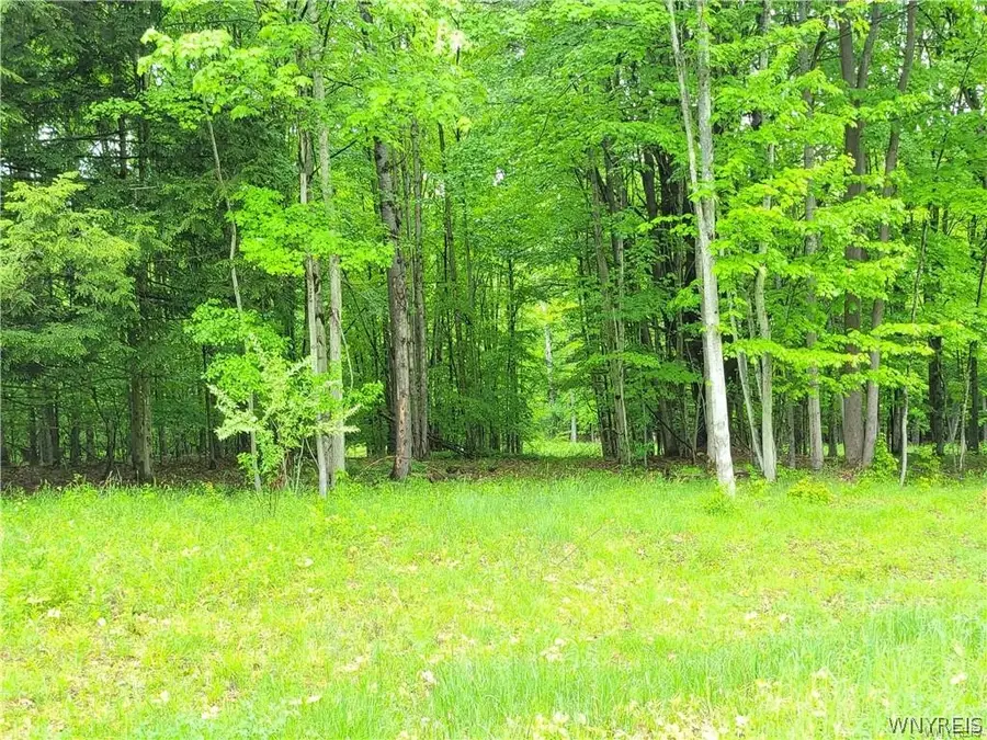 0 Cr-24- Lot 18, Swain, NY 14884 - #3