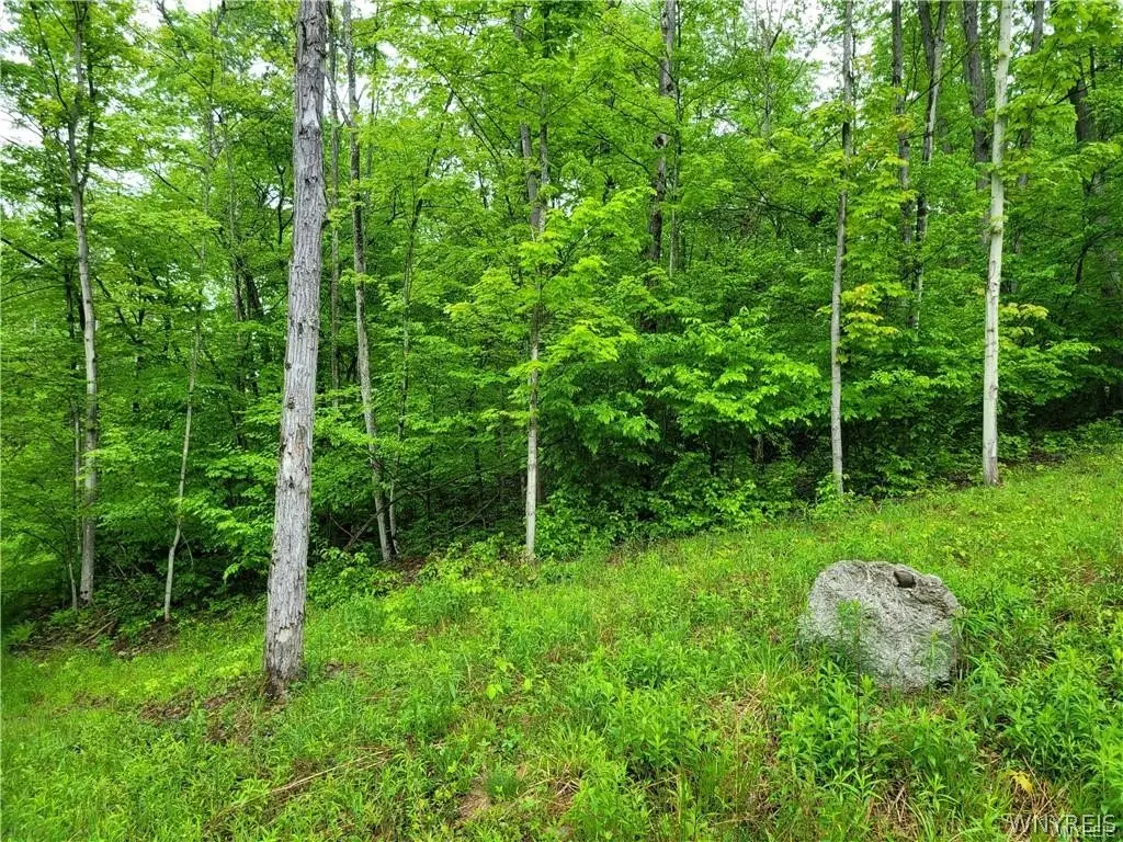 0 Co Road 24- Lot 1, Swain, NY 14884 - #1