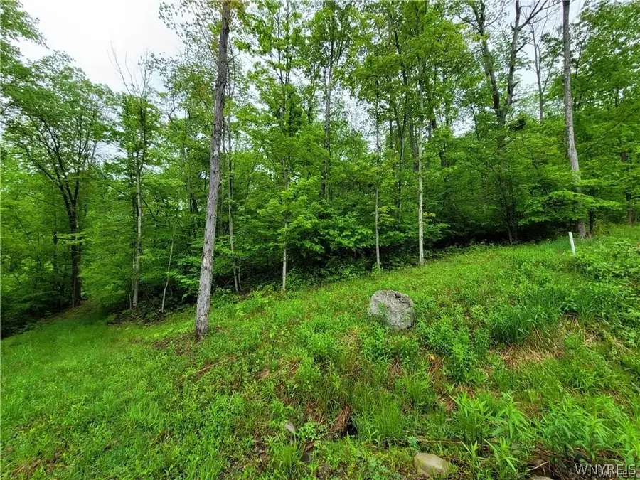 0 Co Road 24- Lot 1, Swain, NY 14884 - #2