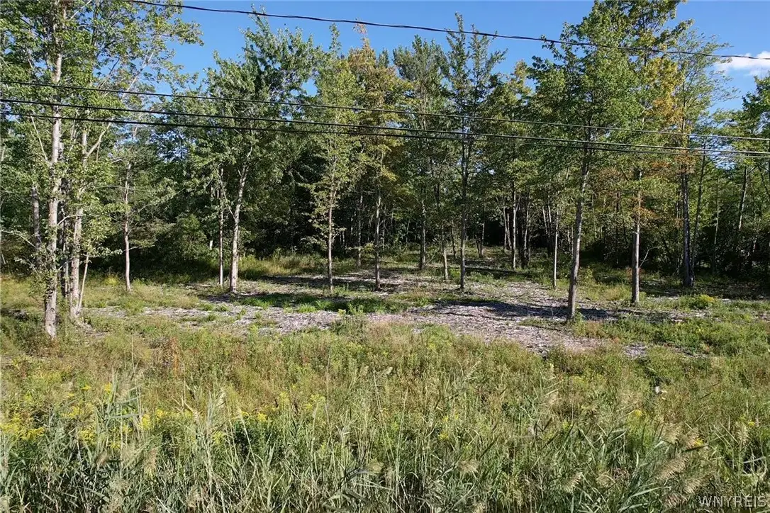 V/L Southwestern Boulevard, Angola, NY 14006 - #1