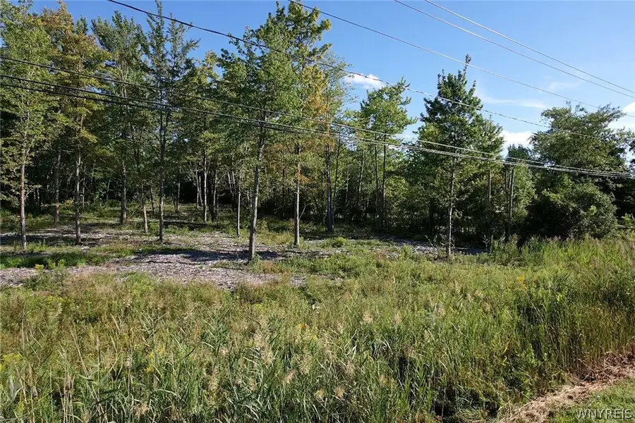 V/L Southwestern Boulevard, Angola, NY 14006 - #2