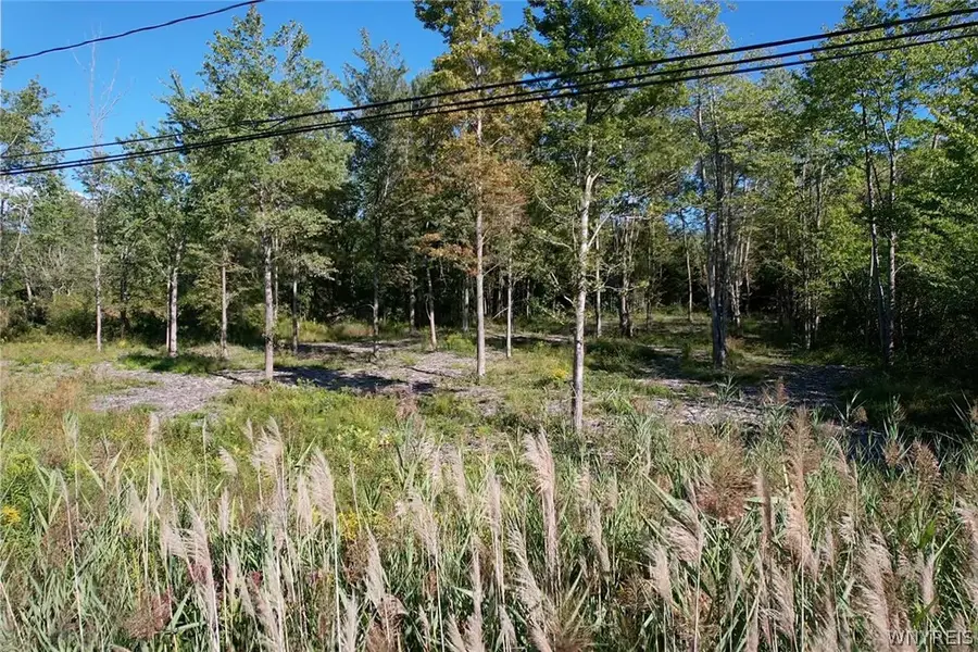 V/L Southwestern Boulevard, Angola, NY 14006 - #3