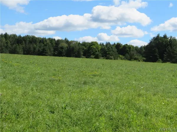 Glinderman Road, Caneadea, NY 14717
