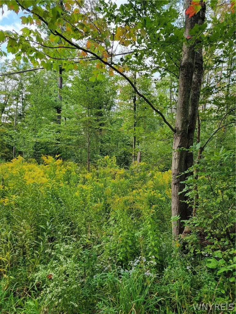 0 Block, Delevan, NY 14042 - #1