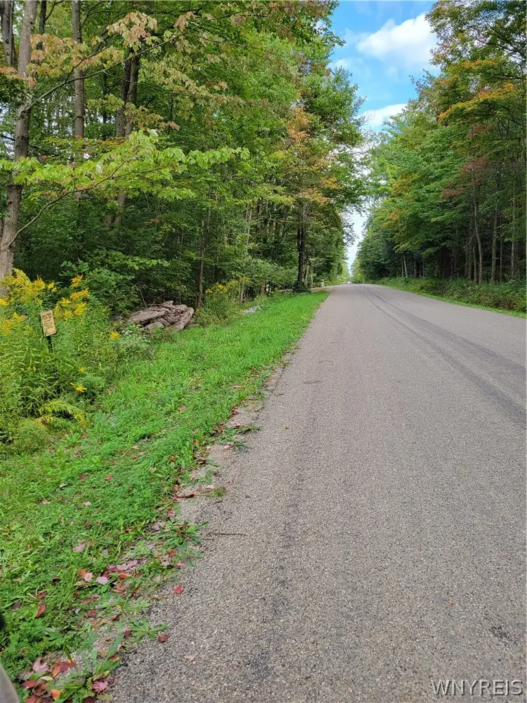 0 Block, Delevan, NY 14042 - #3