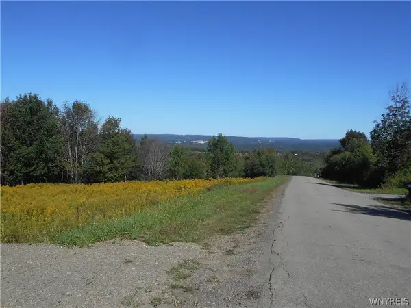 0 Dutch Hill Rd, Lot #1, West Valley, NY 14171
