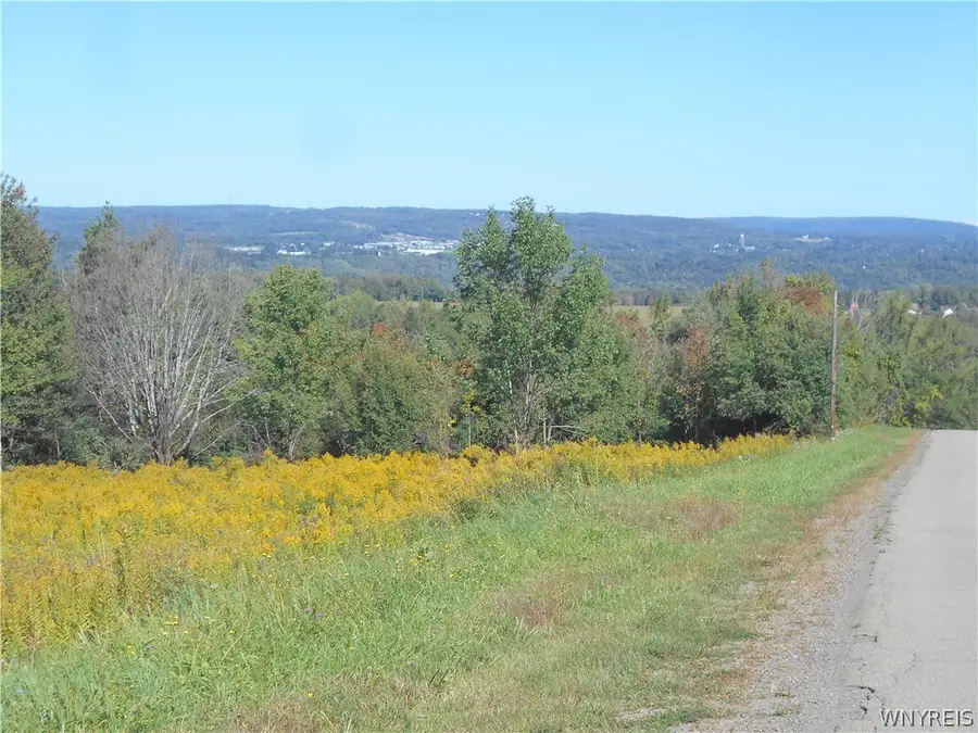 0 Dutch Hill Rd, Lot #1, West Valley, NY 14171 - #2