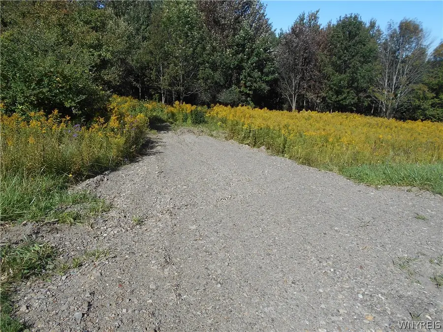 0 Dutch Hill Rd, Lot #1, West Valley, NY 14171 - #3