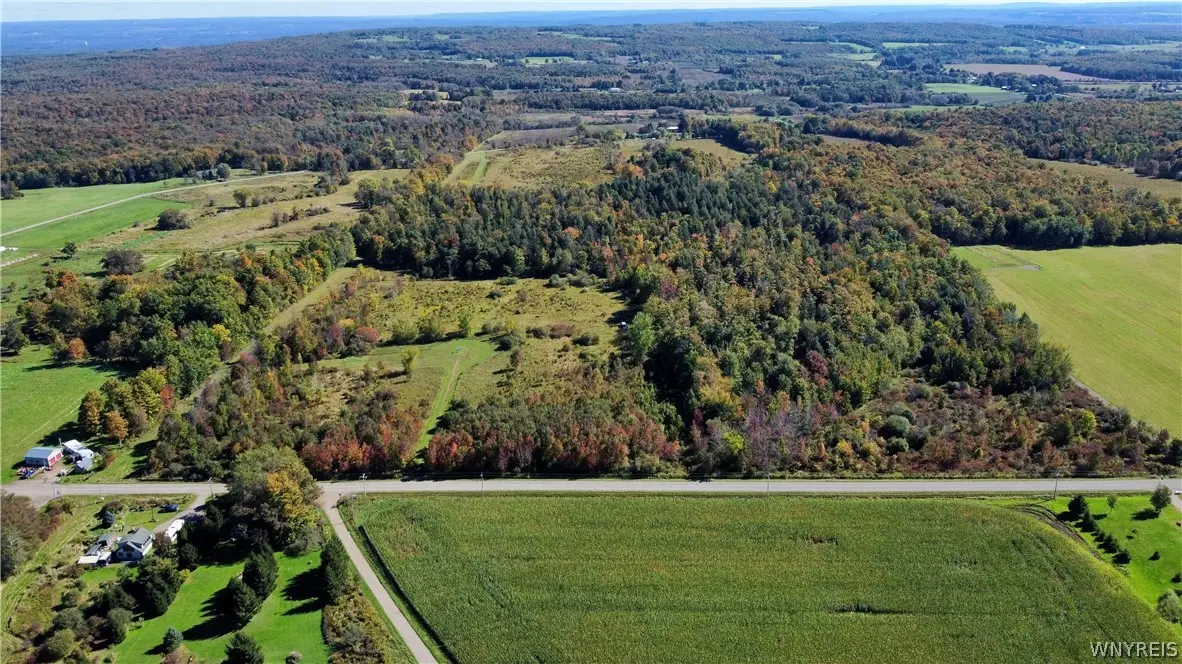 Flucker Hill Road, South Dayton, NY 14138 - #1