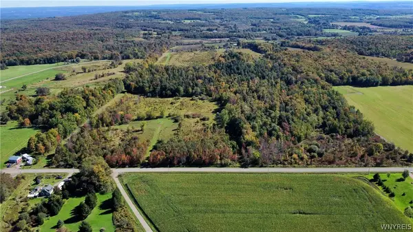 Flucker Hill Road, Forestville, NY 14138