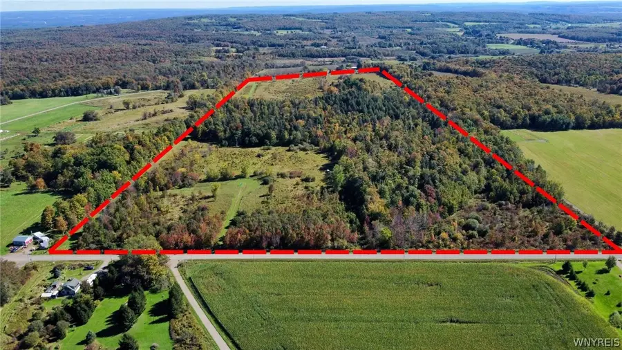 Flucker Hill Road, South Dayton, NY 14138 - #3