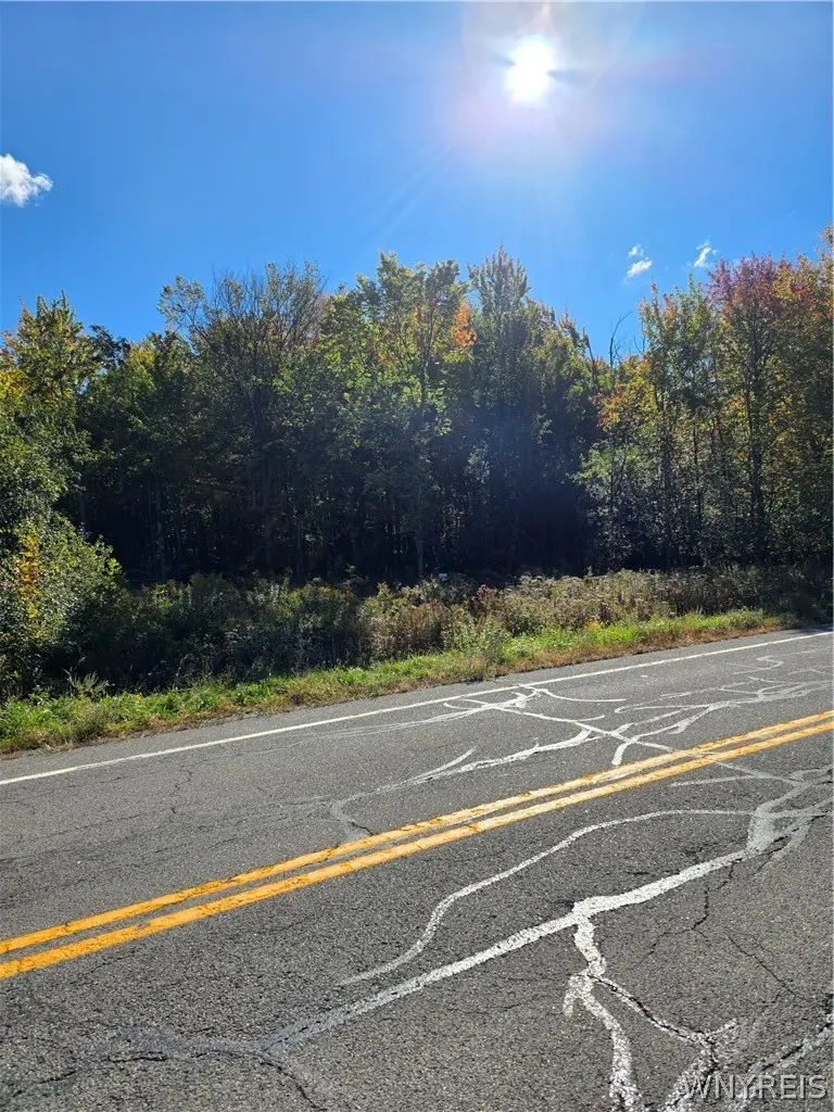 V/L Pleasant Avenue, Hamburg, NY 14075 - #1