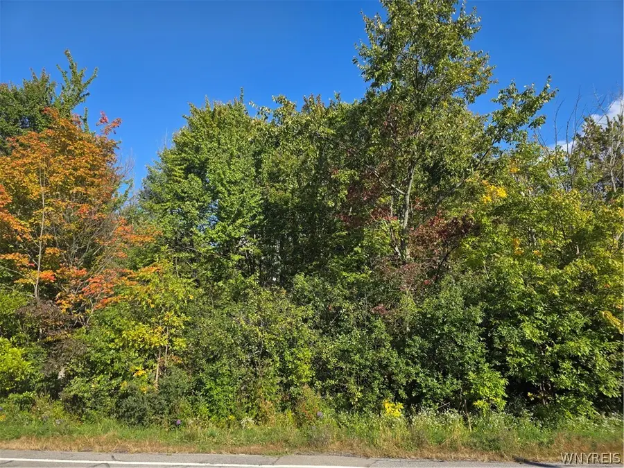 V/L Pleasant Avenue, Hamburg, NY 14075 - #2