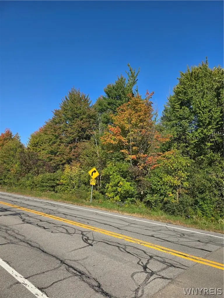 V/L Pleasant Avenue, Hamburg, NY 14075 - #3