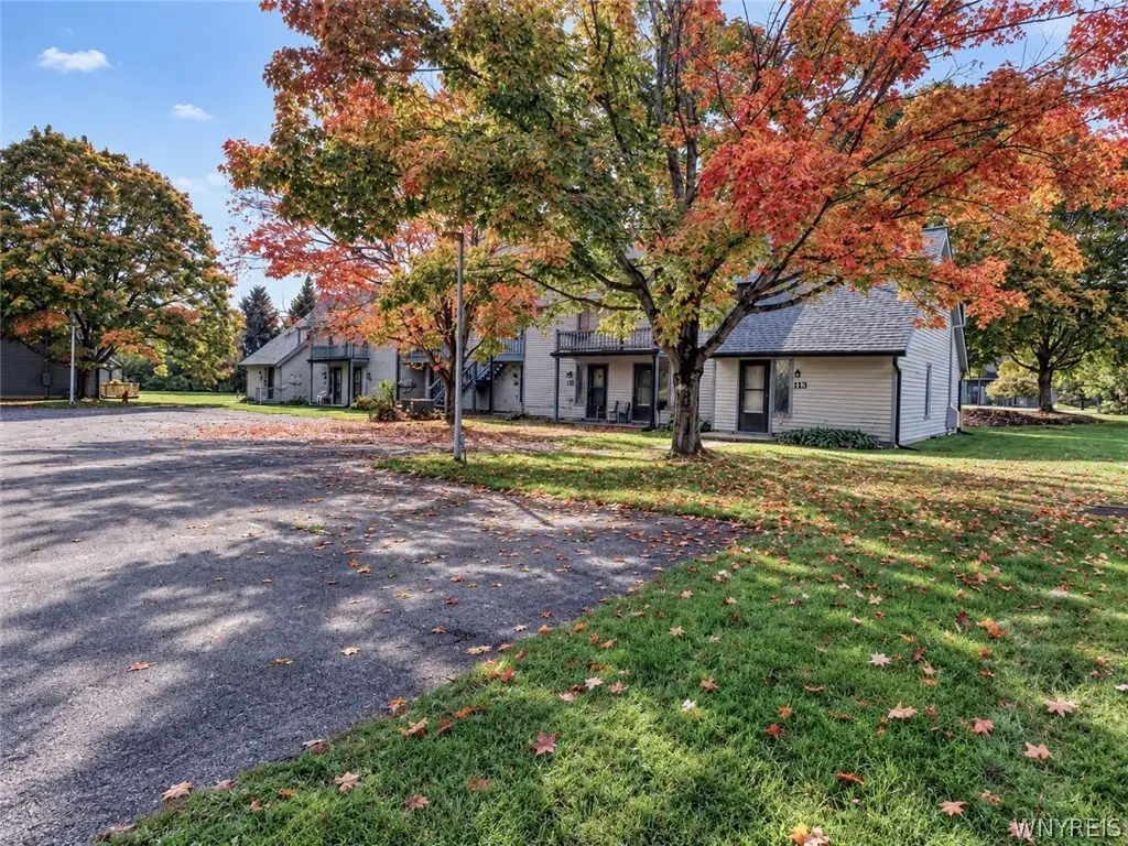 113 Wildflower, Ellicottville, NY 14731 - #1