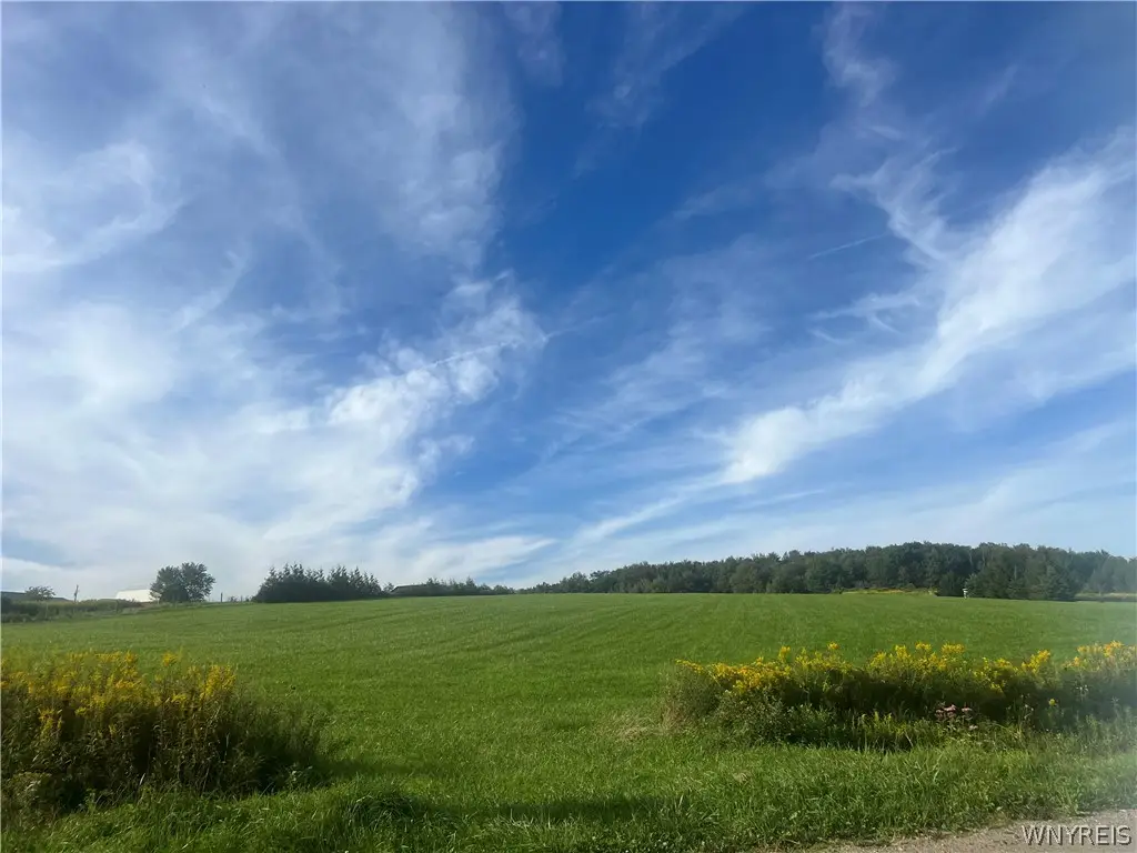 Edmunds, Freedom, NY 14065 - #1