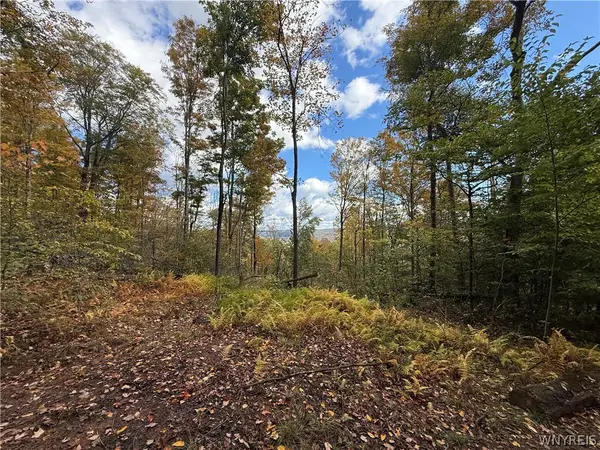 Salt Rising Road, Bolivar, NY 14715