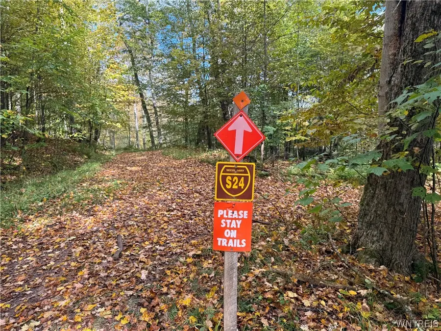 Salt Rising Road, Bolivar, NY 14715 - #2