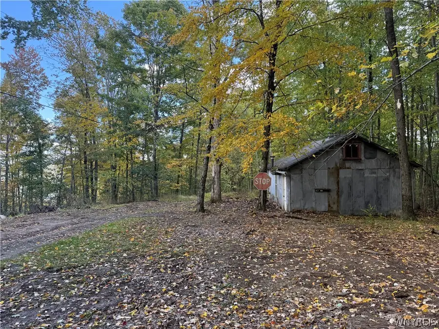 Salt Rising Road, Bolivar, NY 14715 - #3