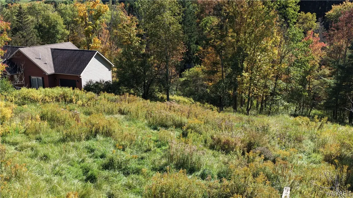 6843 Springs Road, Ellicottville, NY 14731 - #1
