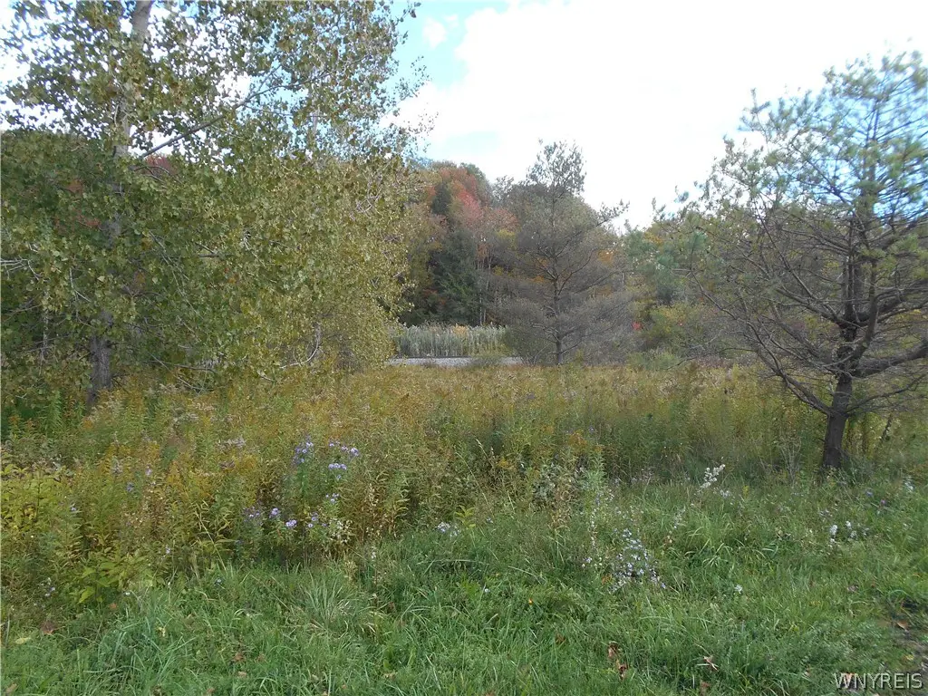 10628 Route 16, Delevan, NY 14042 - #1