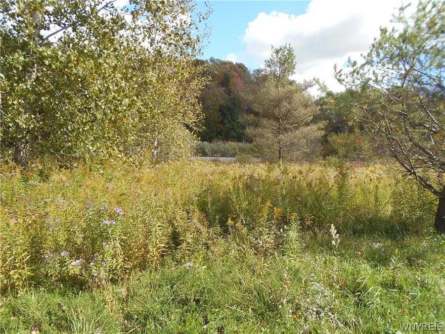 10628 Route 16, Delevan, NY 14042 - #3