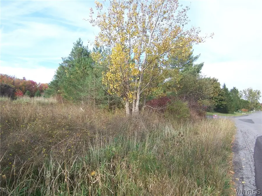 Lot 1 Colony Run, Alexander, NY 14005 - #2