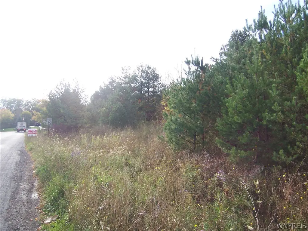 Lot 2 Colony Run, Alexander, NY 14005 - #1
